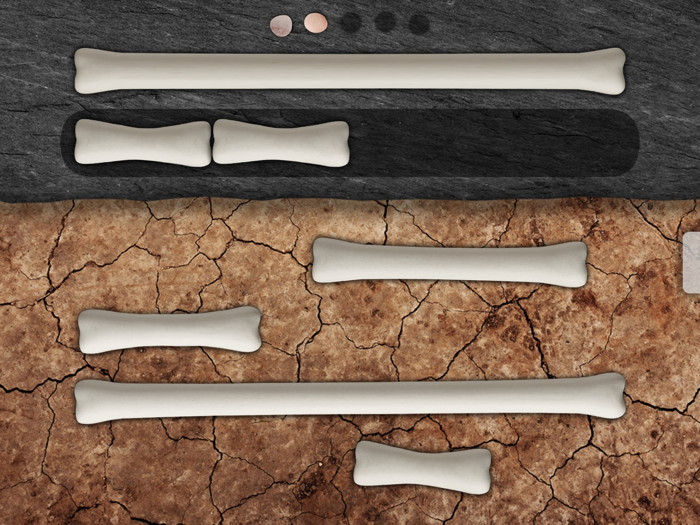 Match and Measure - US