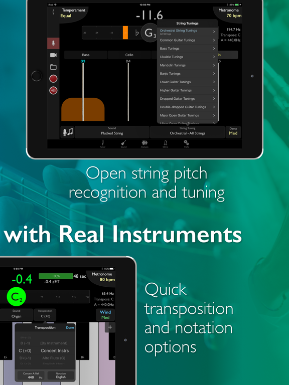 TonalEnergy Chromatic Tuner and Metronome screenshot