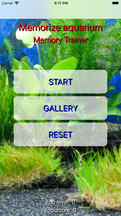 Aquarium Memorize game