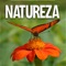 Maior revista brasileira de jardinagem e paisagismo, Natureza traz dicas de como cultivar belíssimas plantas ornamentais