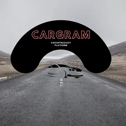 Cargramic Читы