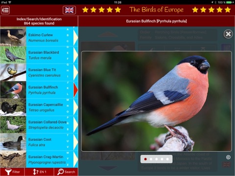 Birds of Europe - náhled