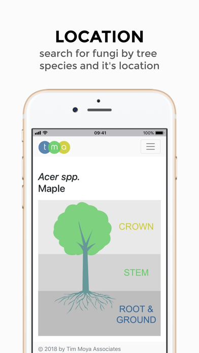 TMA Fungi screenshot 3