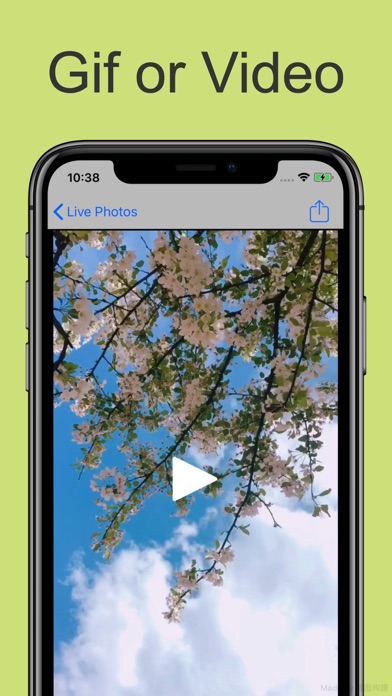 Livephoto to GIF & Video screenshot 3