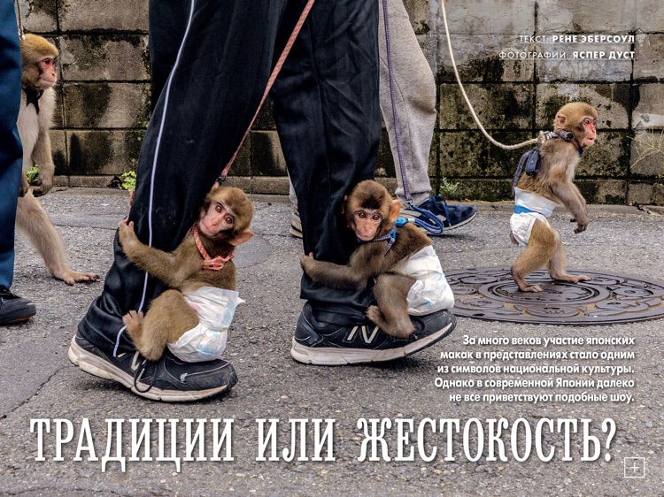 National Geographic Russia screenshot-3