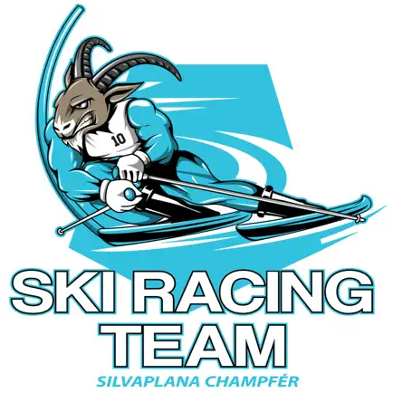 Ski Racing Team Читы