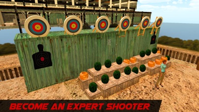 Target Shooting King Game screenshot 2