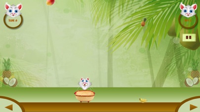 Sweet Fruits Collector Screenshot 1