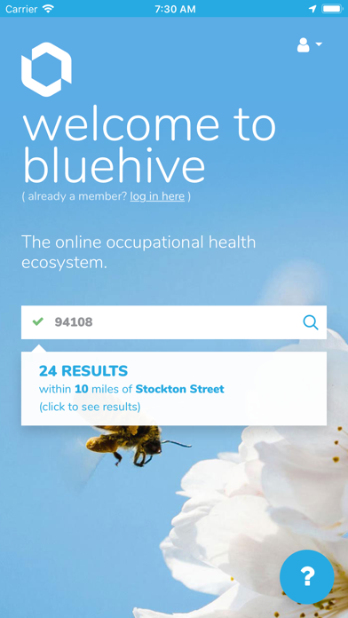 BlueHive.com screenshot 2