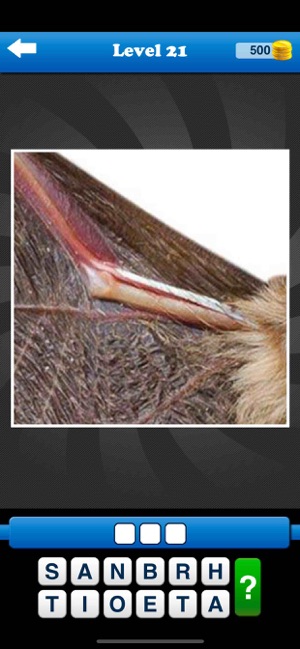 Guess the Close Up - Pics Quiz(圖6)-速報App