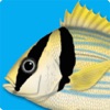 Marine Fishes - iPhoneアプリ