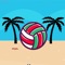 BVBeachVolleyball is a competitive game with beach volleyball as the background