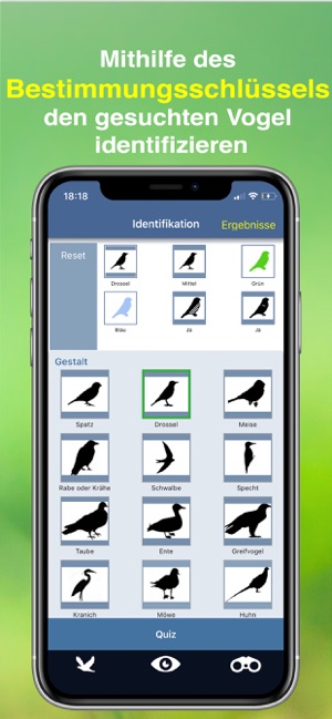 Vogel Id Gartenvögel bestimmen(圖4)-速報App