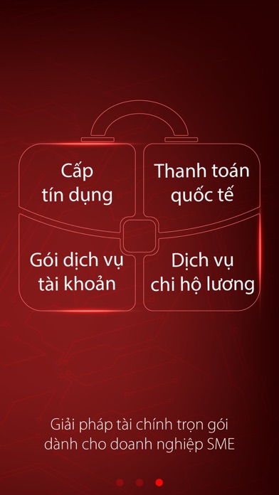 Viet Capital Biz screenshot 3