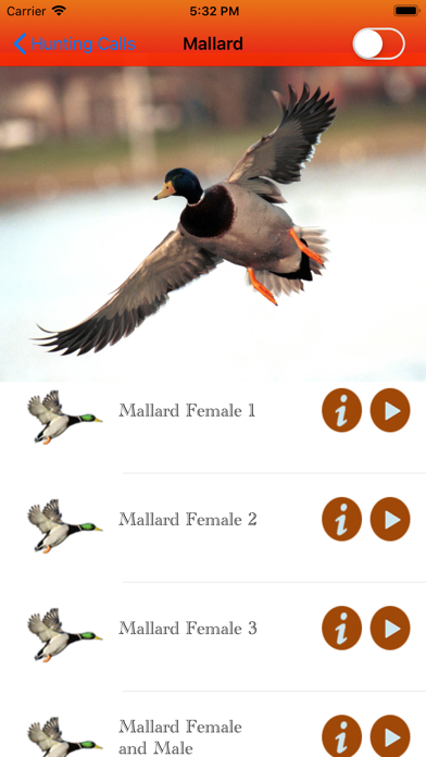 Duck Hunting Calls - screenshot 4