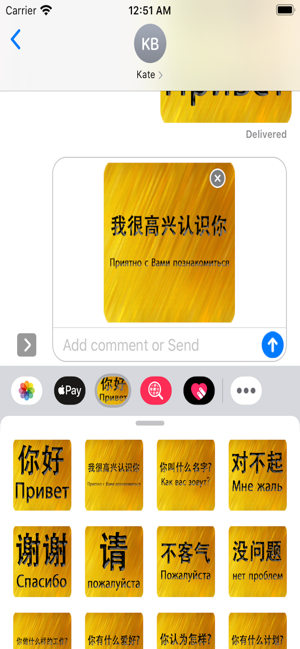 Chinese Russian Sticker(圖3)-速報App