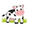 This is a set of funny cow iMessage stickers