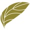 Oregano is a Casual Italian Dining Restaurant