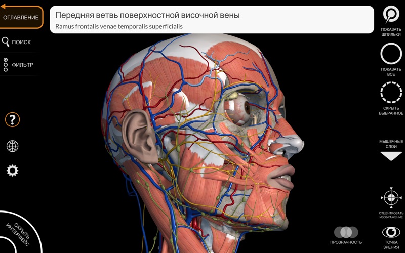 Анатомия 3 д атлас. Анатомия человека на компьютере. ИЗИ анатомия.