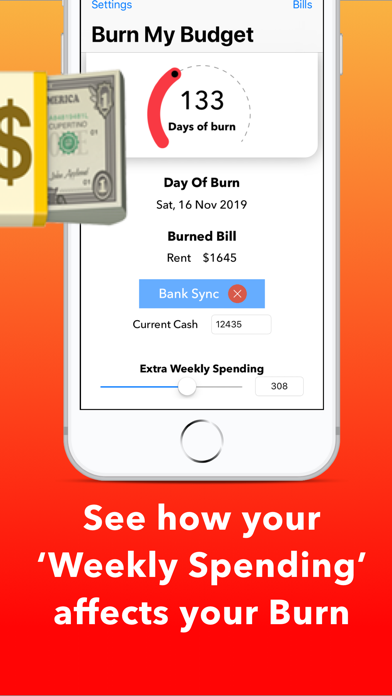 How to cancel & delete Burn My Budget from iphone & ipad 3