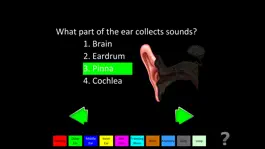 Game screenshot Hearing Anatomy hack