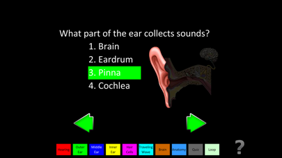 How to cancel & delete Hearing Anatomy from iphone & ipad 3