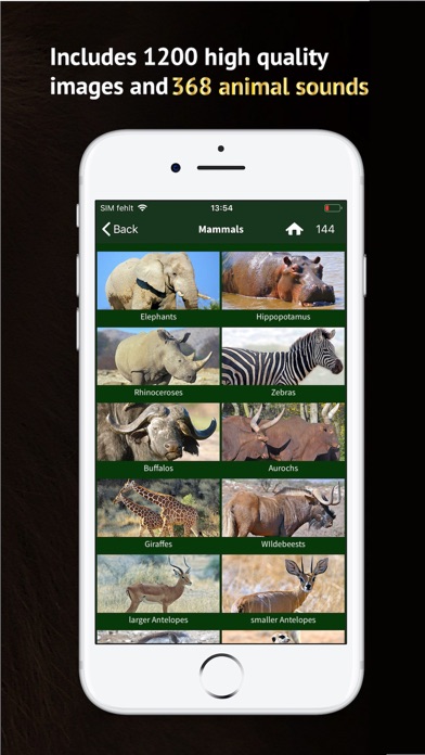 The Golden Safari Guide screenshot 3