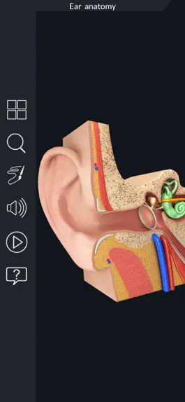 Game screenshot My Ear Anatomy mod apk