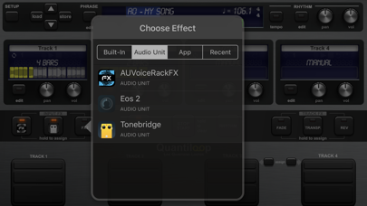 Quantiloop Pro - Live Looper screenshot 4