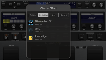 Quantiloop Pro - Live Looper Screenshot 4