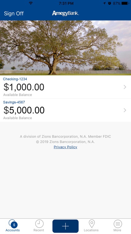 Amegy Mobile Banking
