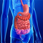 Anatomy : Digestive System