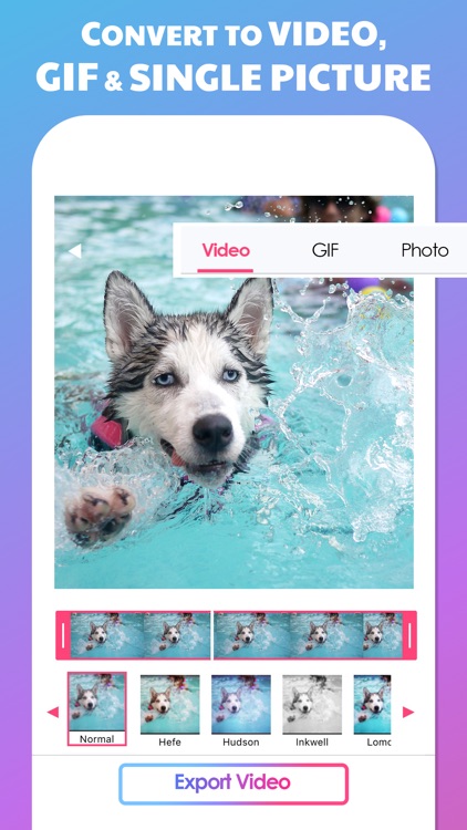 Video Into Live Photo Maker
