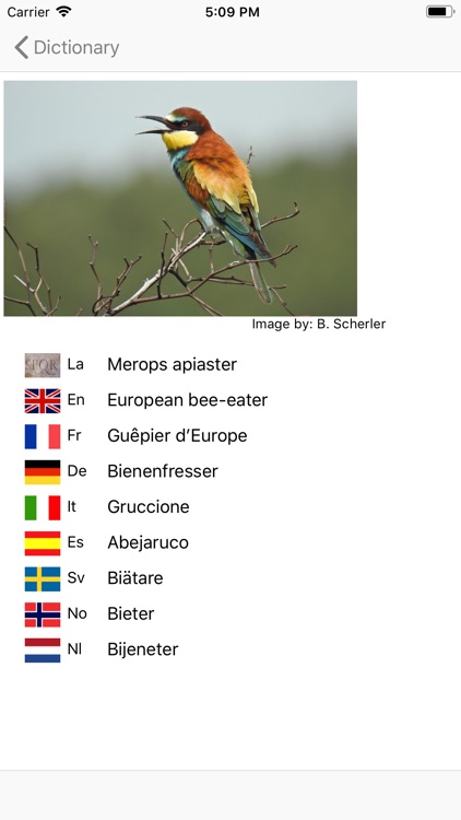 European Birds Names screenshot-4