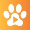 videoVet Pet Care