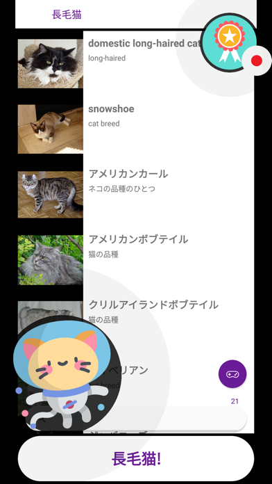 猫 クイズ ゲーム 2019 (日本の)のおすすめ画像4