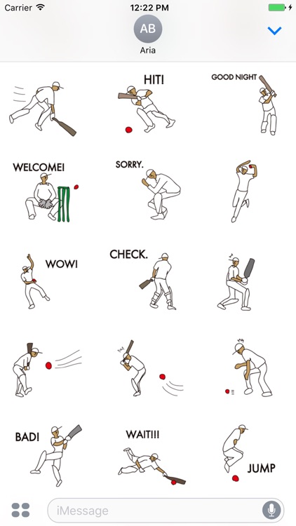 Cricket Icon Sticker