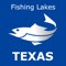 Best lakes for fishing in the State