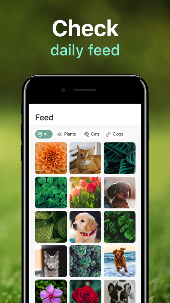 NatureID: Plant Identification App for iPhone - Free ...