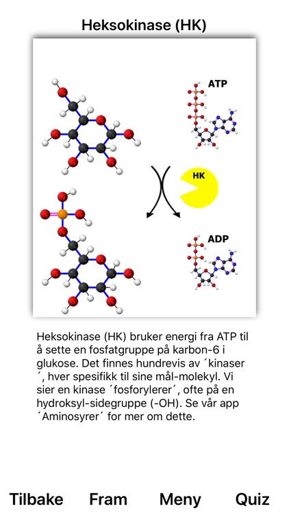 Glykolyse screenshot-4