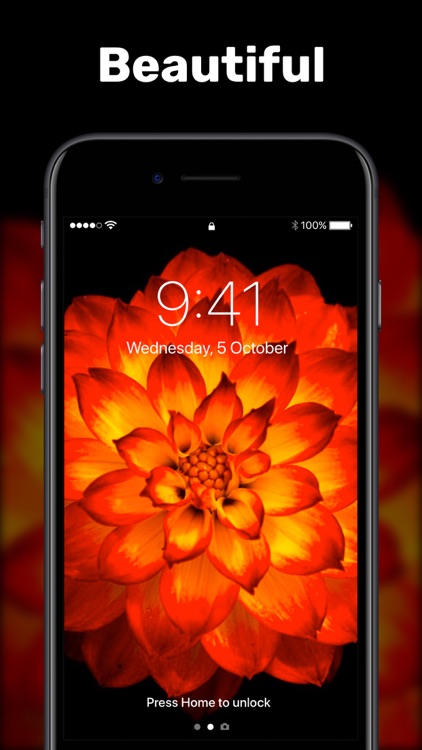 Live Wallpapers & Video Maker screenshot-7