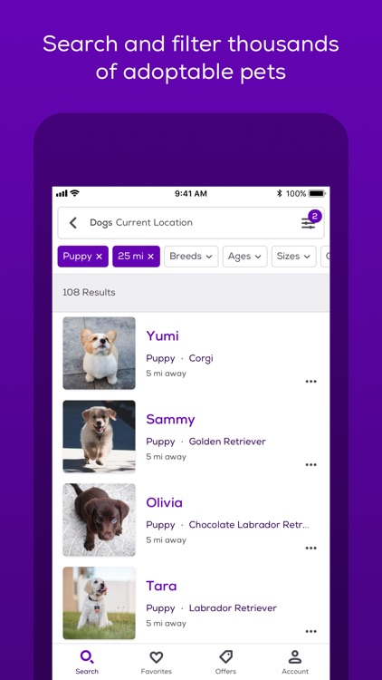Petfinder Adoptable Pets