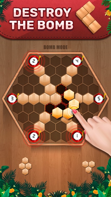 Wooden 100 Block - Hexa Puzzle