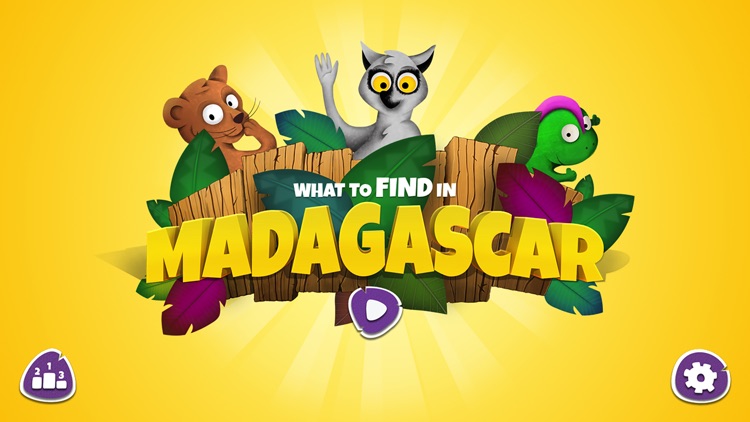 What to find in Madagascar