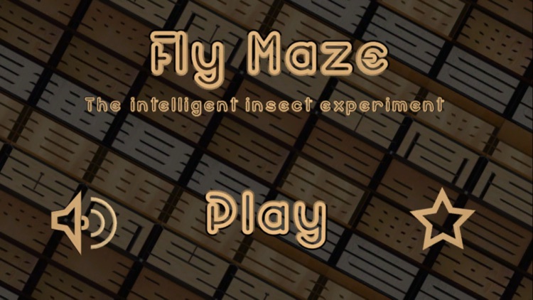 FlyMaze screenshot-0