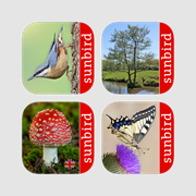Sunbird XXL Nature Box UK - Identify Birds, Trees, Flowers, Butterflies, Fish, Fungi