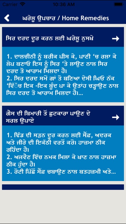 Punjabi Ayurveda Home Remedies screenshot-4