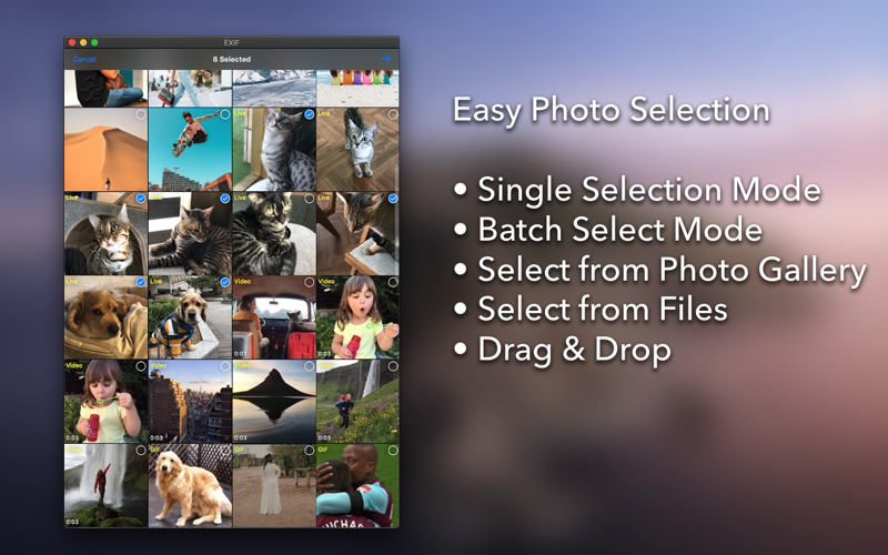 EXIF - View and Edit Meta Data thumbnail 2