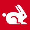 Rabbit Web Performance