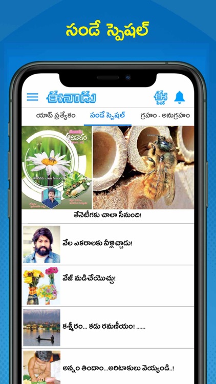 Eenadu News Official app screenshot-5